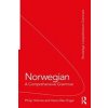 Norwegian: A Comprehensive Grammar (Holmes Philip)