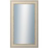 DANTIK - Zrkadlo v rámu, rozmer s rámom 60x100 cm z lišty GREECE biela (2639)