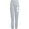 Adidas Dětské Nohavice BELLINGHAM Light šedé velikost: 140