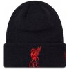 New Era Detská čepice LIVERPOOL FC Mass Cuff