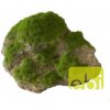 Europet Bernina Aqua Della Moss Stone M 16x11x11 cm