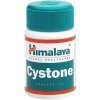 Himalaya Cystone - doplnok železa 100 Tableta