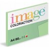 Farebný xerografický papier Coloraction 80 g A4 Forest/Pastelovo zelená