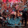 Vulvodynia: Praenuntius Infinity - CD