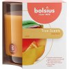 Bolsius Aromatic Mango 95 x 95 mm