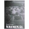 Kriminál - Irving David