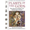 Plants of the Gods (Richard Evans Schultes,Albert Hofmann,Christian Rätsch)(Brožovaná)