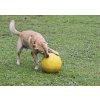 Veľká lopta pre psov 30cm
