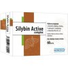 Generica Silybin Active complex 60 kapsúl