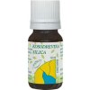 Hanus Kosodrevinová silica 10 ml
