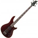 Schecter Omen Extreme 4