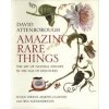 Amazing Rare Things - David Attenborough, Susan Owens, Martin Clayton, Rea Alexandratos, Yale University Press