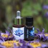 Herbarium Projekt BLUE LOTUS (Modrý lotos), spagyric tincture - 10ml