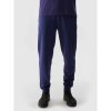 Pants 4F M 4FWSS24TTROM603 31S (191165) Black S