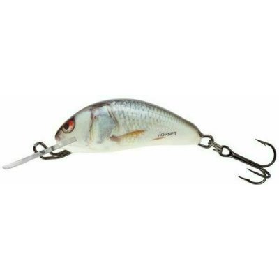 Salmo Hornet Sinking Real Dace 3,5 cm 2,6 g
