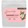 GourmetCoffee Specialty Guatemala Comal ESP 250g