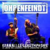 Ohrenfeindt - Krawallgeigensymphonie / Vinyl / 2LP [2 LP]