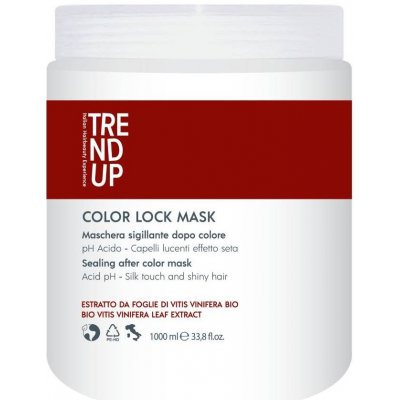 Trend Up Color Lock Maska pro barvené vlasy 1000 ml