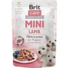 RIT BRIT Care Mini Puppy Lamb - mokré krmivo pre psov - 85 g