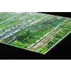 DIMEX | Plexisklo za kuchynskú linku PGT-08040-044 | 80 x 40 cm Brezový háj + Plexisklo za kuchynskú linku DIMEX v rozmere 80 x 40 cm, Brezový háj + Lepidlo zadarmo