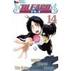 Bleach 14: White Tower Rocks