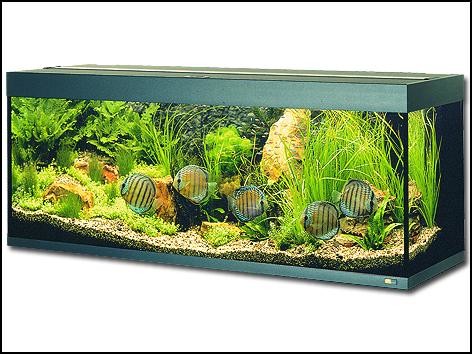 Juwel Rio 350 LED akvarijný set světle hnědý 350 l