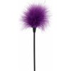 ToyJoy Sexy Feather Tickler Purple