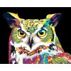 ZUTY Maľovanie podľa čísel - FAREBNÁ SOVA Rámovanie: bez rámu a bez vypnutia plátna, Rozmer: 80x100 cm