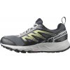 Salomon Wander GTX sivé
