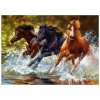 Norimpex Diamantové maľovanie Kone v rieke 30 x 40 cm