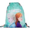 Karton P+P Frozen