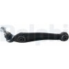 Rameno zavesenia kolies DELPHI TC2229