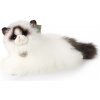 Rappa Plyšová mačka ragdoll ležiaca 35 cm ECO-FRIENDLY