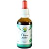 Salvia Paradise Chanca piedra bezalkoholová tinktura tinktúra pre zdravie močových ciest 50 ml