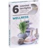 Sviečka čajová WELLNESS vonná 6ks