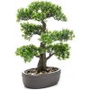 Umelý Bonsai Ficus mini v kvetináči, 43cm