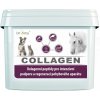 DROMY COLLAGEN - 2500 g / 90 dávok