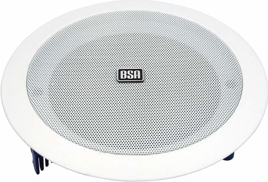 BS ACOUSTIC WS520