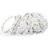 BERGE LED pásek - SMD 5050 - RGB+CW - 5 m - 60 LED/m - 14,4 W/m - IP20
