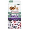 VL Pamlsek pro hlodavce Crock Compl.Berry 50g