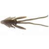 Berkley PowerBait Power Nymph 2,5cm 12ks Toad Berkley