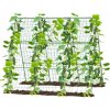 Opora pre rastliny so sieťkou, 1,8x2,7m | Garden Line