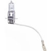 Compass 08602 12V H3 55W Pk22s