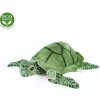 Rappa Plyšová želva mořská 25 cm ECO-FRIENDLY