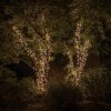 Twinkly Twinkly TWS250SPP-TEU LED RGBW Vonkajšia vianočná reťaz 250xLED 23,5m IP44 Wi-Fi TW0043