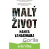 E-kniha Malý život - Hanya Yanagihara