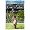 Our Little Secret - Claudia Carroll