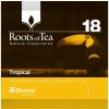 Arthemia čaj - 18 Tropical 2,2g sáčok