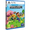WARNER BROS PS5 - Minecraft 5056635611741