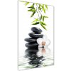 Vertikálny foto obraz sklo tvrdené Orchidea a kamene 50x100 cm